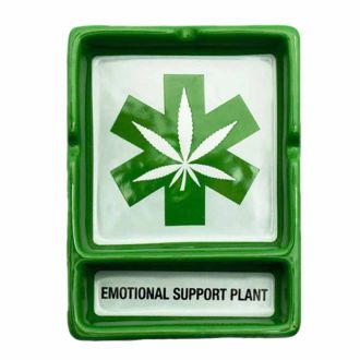 Ashtray Emotional Support Plant
