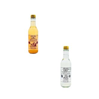 EXOTIC DRINK POTION CAULDRON 330ml BOTTLE SUGAR FREE