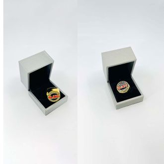 Raw Championship Ring