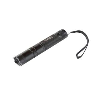 Stun Gun With Flashlight - 910A