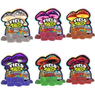 University Field Trip Psychedelic Gummies - 10 Counts Per Pack
