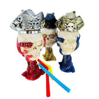 WPJL4 - 10 Inch Rukioo Waterpipe - Skull-Pirate - Assorted - Price Per Piece
