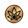 3Chi